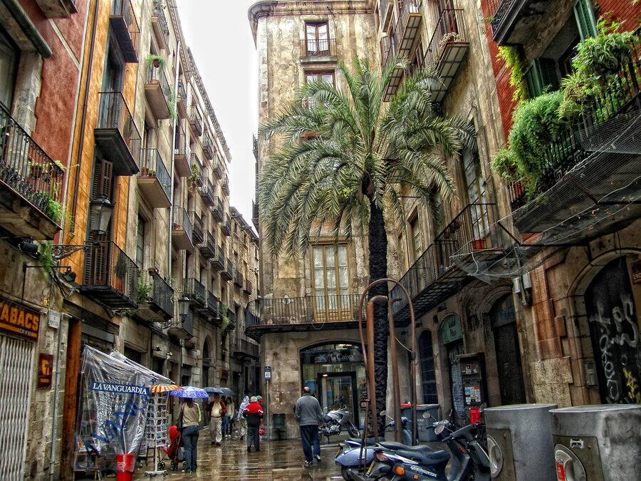 La placeta de Montcada, un ensanchamiento de la calle con una palmera y fachadas con balcones