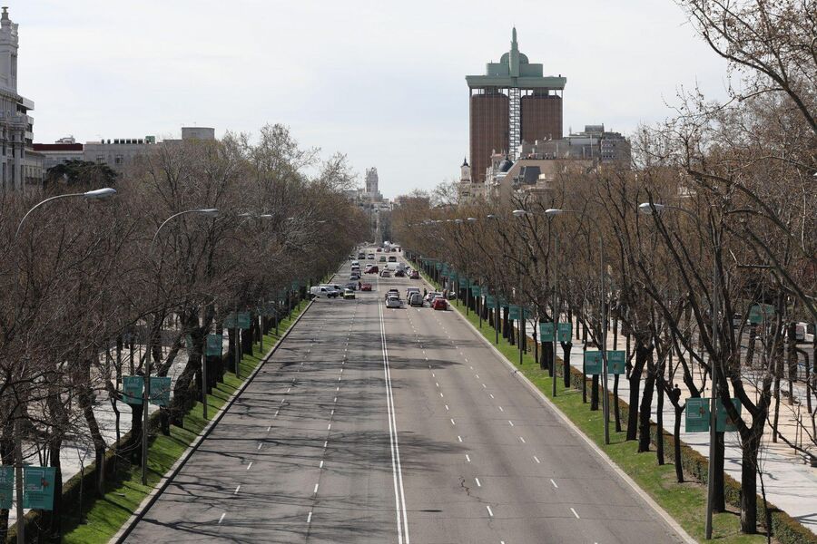 Arbolado del paseo de la Castellana, en Madrid
