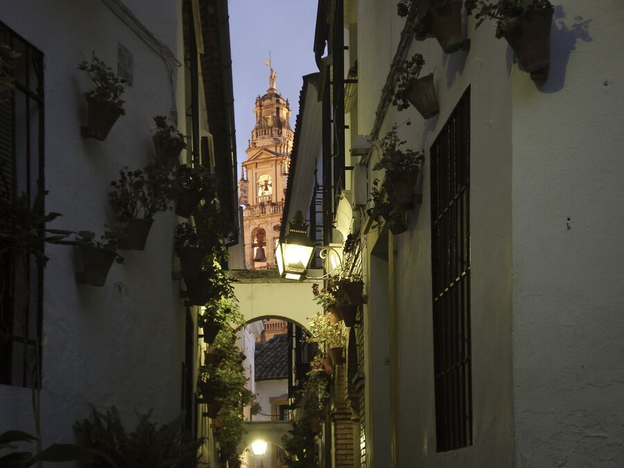 Calleja de las Flores de Córdoba con macetas en las paredes y la torre de la Mezquita al fondo