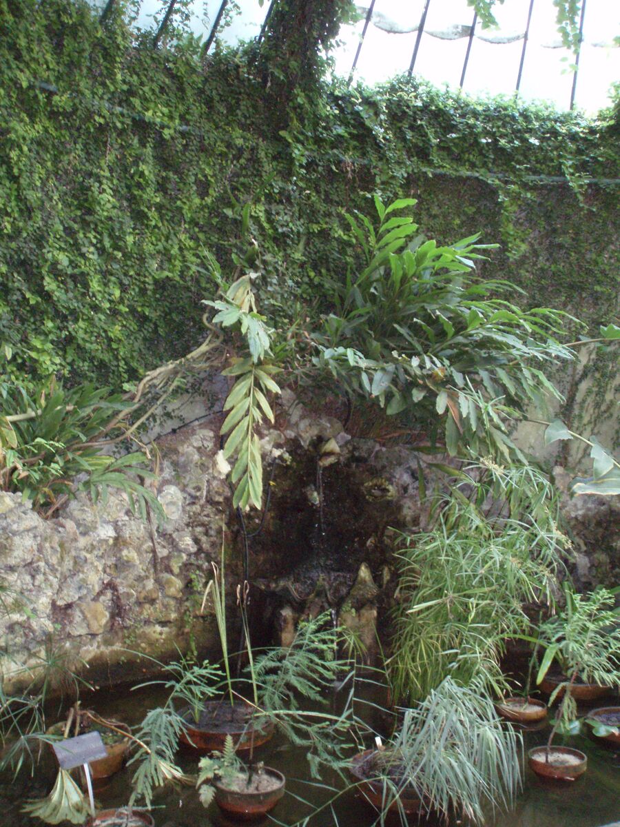 Estufa o invernadero del Real Jardín Botánico de Madrid